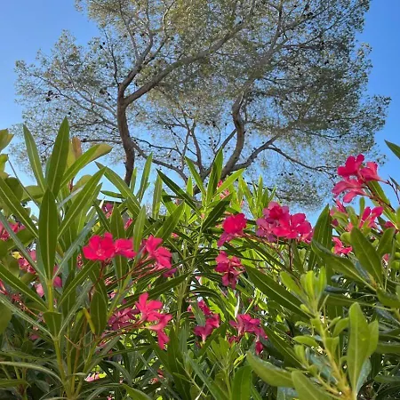 Appartement Les Calanques De Saint-aygulf Saint Aygulf